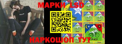гидра Будённовск