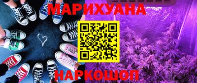 гидра Будённовск