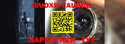 гидра Будённовск